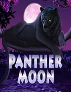 วิธีเล่น เว็บ มาเฟีย 888สล็อต เฮีย เปา ที่ไม่ต้องง้อใคร